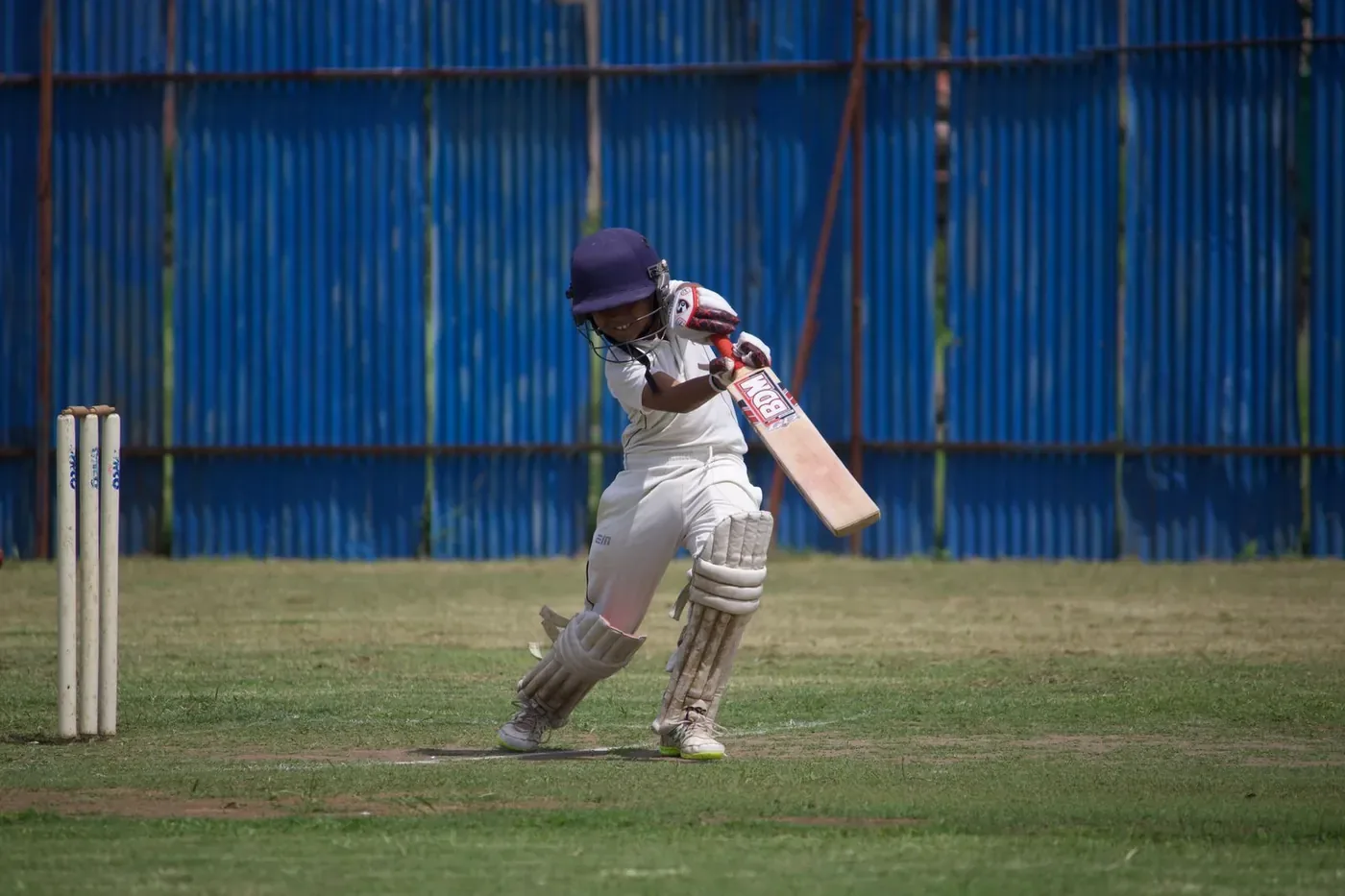 Cricket